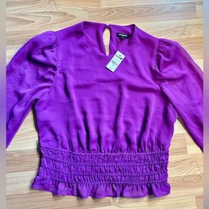 Express Puff Sleeve Sheer Blouse